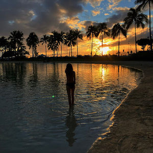 Meet your Posher, Alli